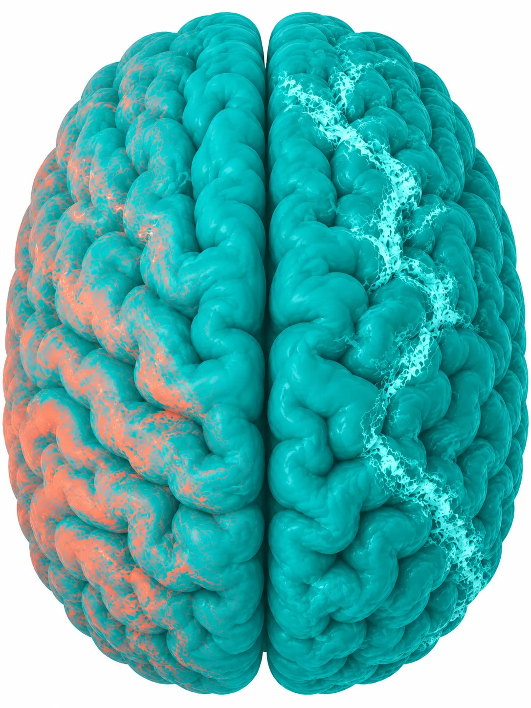 Tap_In_Brain_2.webp
